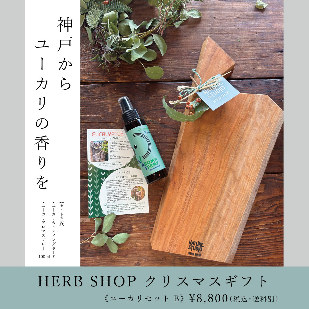 HERB SHOPクリスマスギフト《ユーカリセットB》